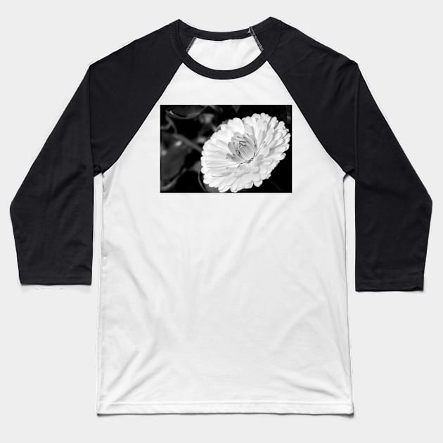 White blossoming chrysanth, black and white flower photography Baseball T-Shirt by KINKDesign